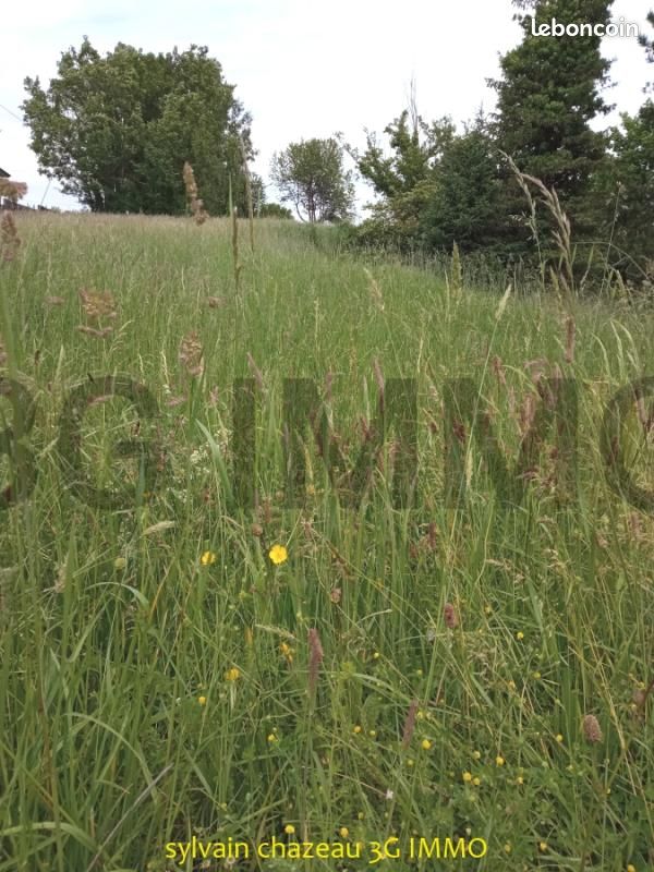 Terrain à Montlieu-la-Garde, France 2219m² No. 207730