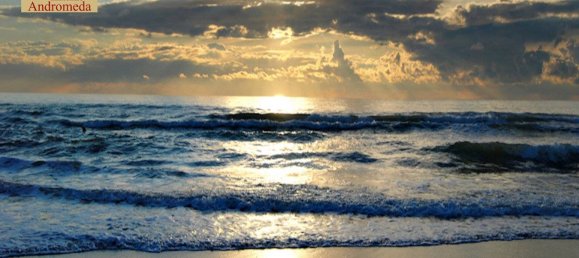 Villa de 4 dormitorios en Forte dei Marmi, Italy No. 191734 14