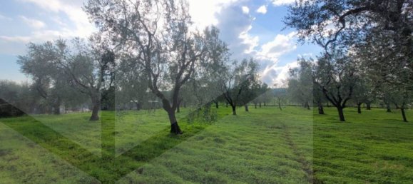 Villa de 4 divisões em Vieste, Italy N.º 21026 9