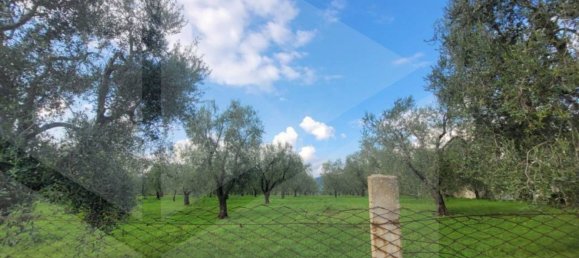 Villa de 4 divisões em Vieste, Italy N.º 21026 10