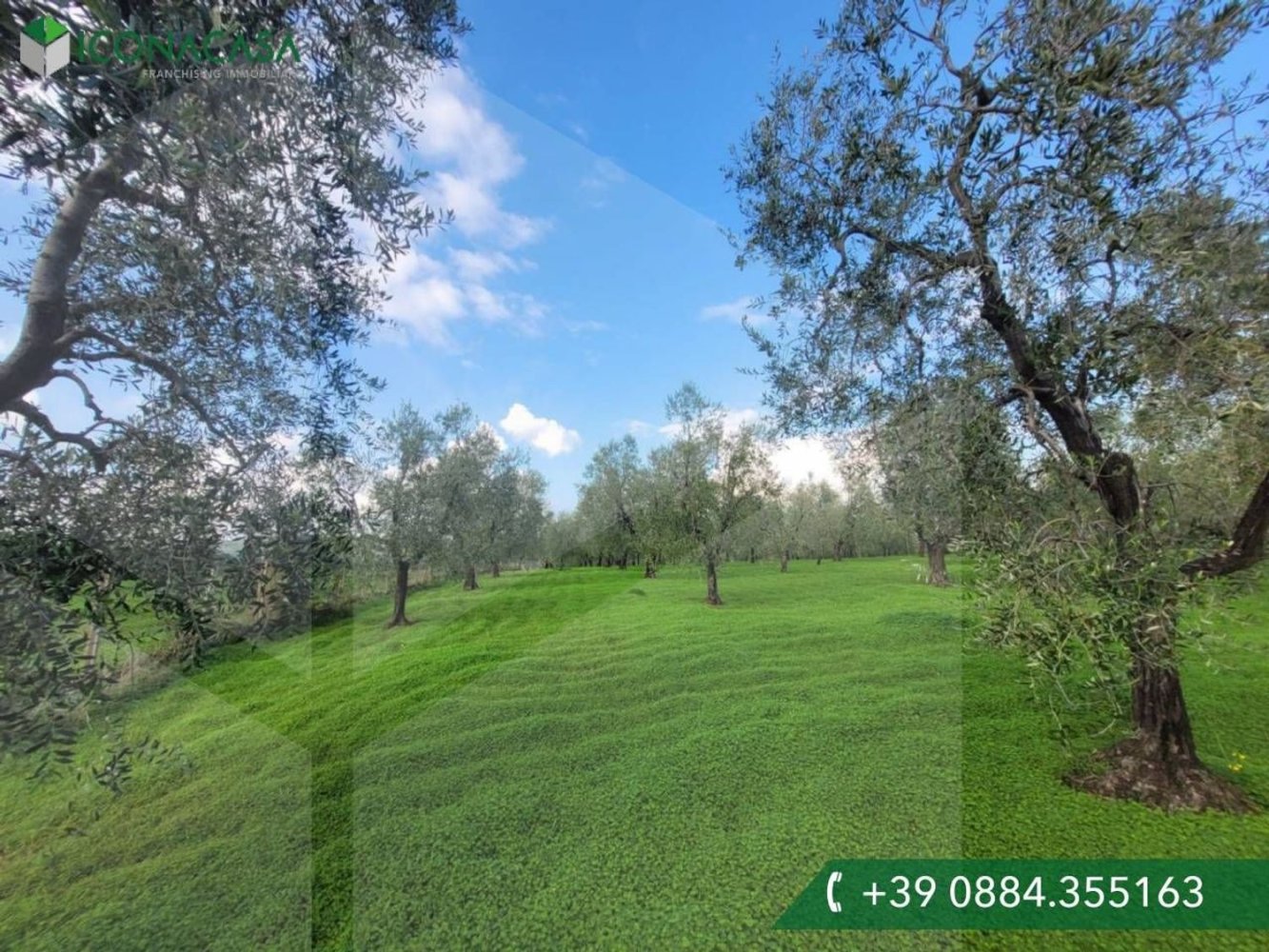 Villa de 4 divisões em Vieste, Italy N.º 21026