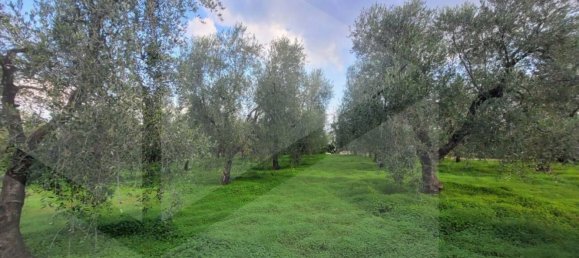 Villa de 4 divisões em Vieste, Italy N.º 21026 13