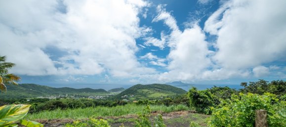 3 bedrooms Villa in Saint Peter's, Saint Kitts and Nevis No. 7 3