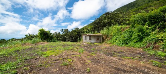 3 bedrooms Villa in Saint Peter's, Saint Kitts and Nevis No. 7 5