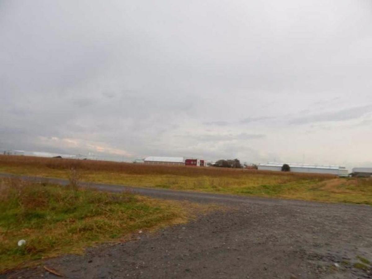 Земельный участок в Сан Буэнавентура, Мексика № 205342