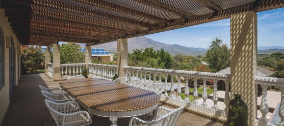 7 bedrooms Villa in Estepona, Spain No. 133899 17