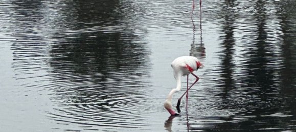 Apartamento T2 em Cartagena, Spain N.º 190620 29