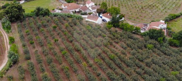 Terrain à Alenquer, Portugal No. 69987 14
