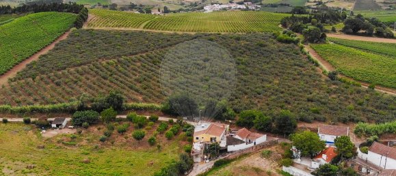 Terrain à Alenquer, Portugal No. 69987 5