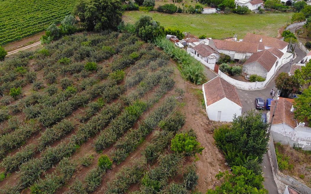 Terrain à Alenquer, Portugal No. 69987
