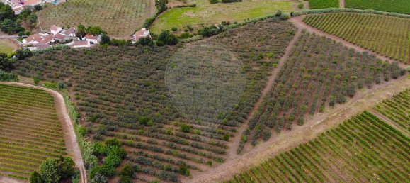 Terrain à Alenquer, Portugal No. 69987 16
