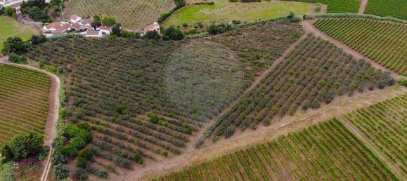 Terrain à Alenquer, Portugal No. 69987 15