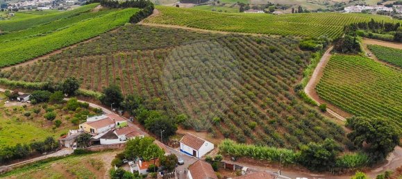 Terrain à Alenquer, Portugal No. 69987 2
