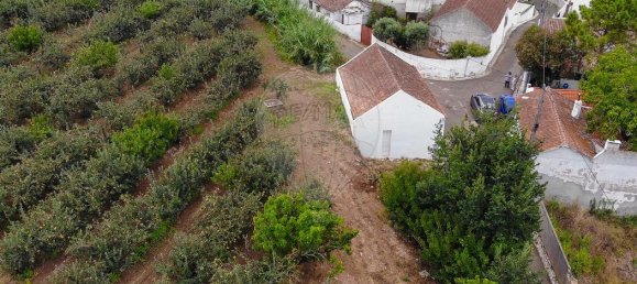 Terrain à Alenquer, Portugal No. 69987 9