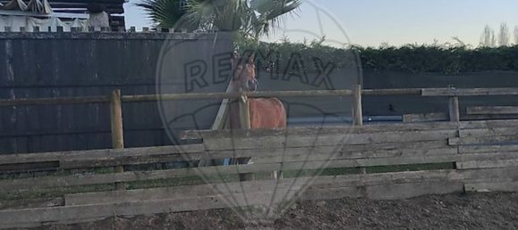 3 Schlafzimmer Haus in Maia, Portugal, Nr. 52498 25