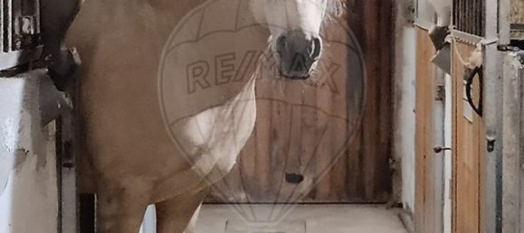 3 Schlafzimmer Haus in Maia, Portugal, Nr. 52498 11