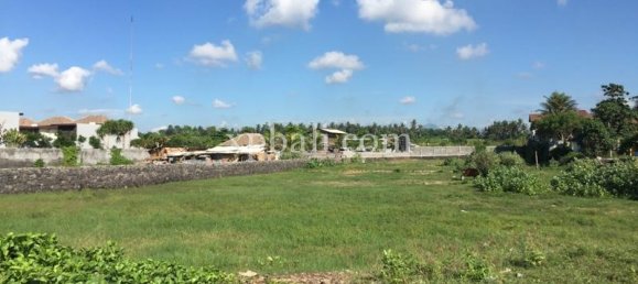 Grundstück in Gianyar, Indonesia 5000m², Nr. 3858 9