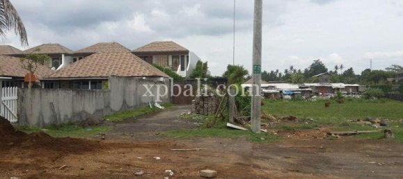 Grundstück in Gianyar, Indonesia 5000m², Nr. 3858 12