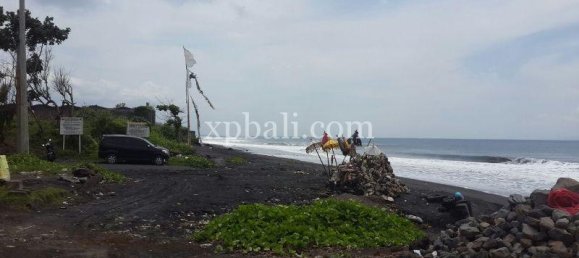 Grundstück in Gianyar, Indonesia 5000m², Nr. 3858 15