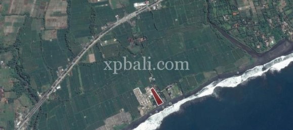 Grundstück in Gianyar, Indonesia 5000m², Nr. 3858 19