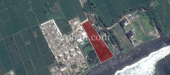 Grundstück in Gianyar, Indonesia 5000m², Nr. 3858 2