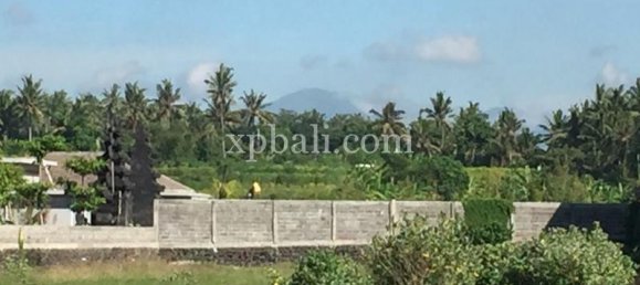 Grundstück in Gianyar, Indonesia 5000m², Nr. 3858 5