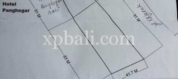 Grundstück in Gianyar, Indonesia 5000m², Nr. 3858 10