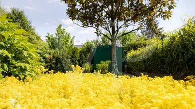 1 bedroom House in Dobling, Austria No. 151413