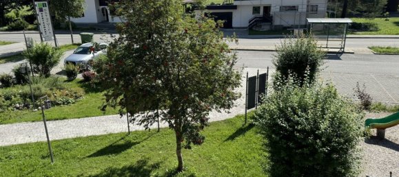 Gewerbliche Immobilie in Leutasch, Austria, Nr. 129348 27