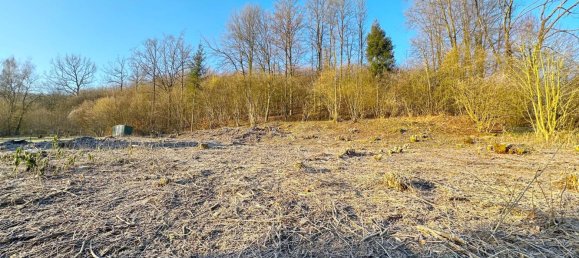  Land in Lippe, Germany No. 133640 2