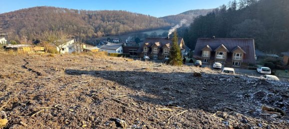  Land in Lippe, Germany No. 133640 3