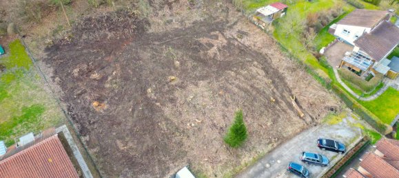  Land in Lippe, Germany No. 133640 7