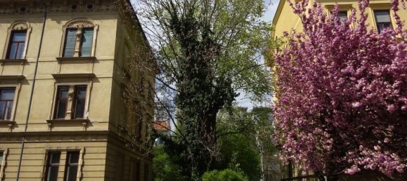 3030m² Commercial property in Geidorf, Austria No. 134966 7