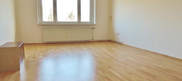 2 rooms Apartment in Bad Voslau, Austria No. 62439 6