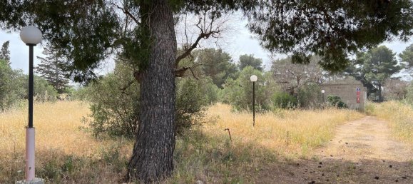 Земельный участок 18400м² в Matino, Италия № 224881 5