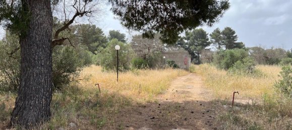 Земельный участок 18400м² в Matino, Италия № 224881 14