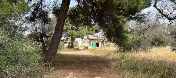 Земельный участок 18400м² в Matino, Италия № 224881 2