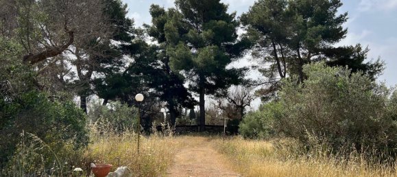 Земельный участок 18400м² в Matino, Италия № 224881 15