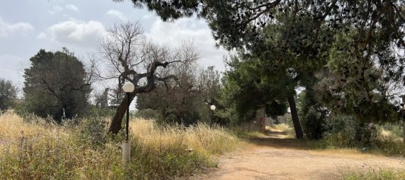 Земельный участок 18400м² в Matino, Италия № 224881 7