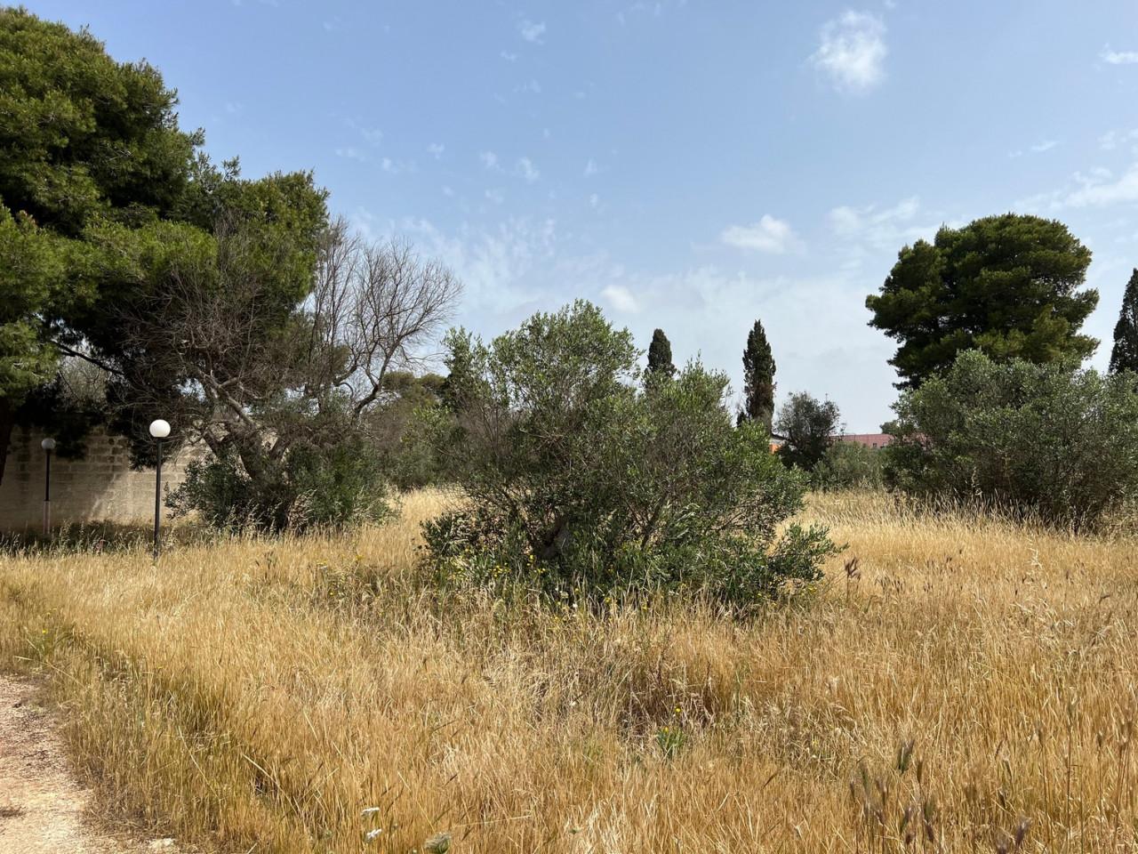 Земельный участок 18400м² в Matino, Италия № 224881