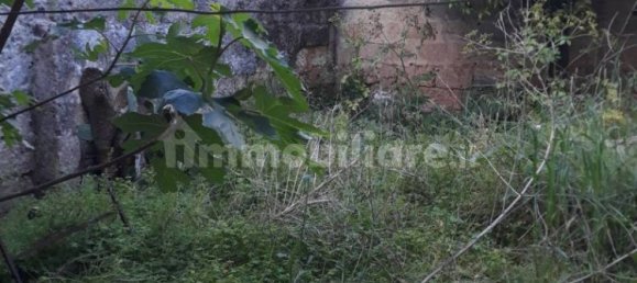 2 غرف نوم فيلا في Presicce Acquarica, Italy رقم 273494 15