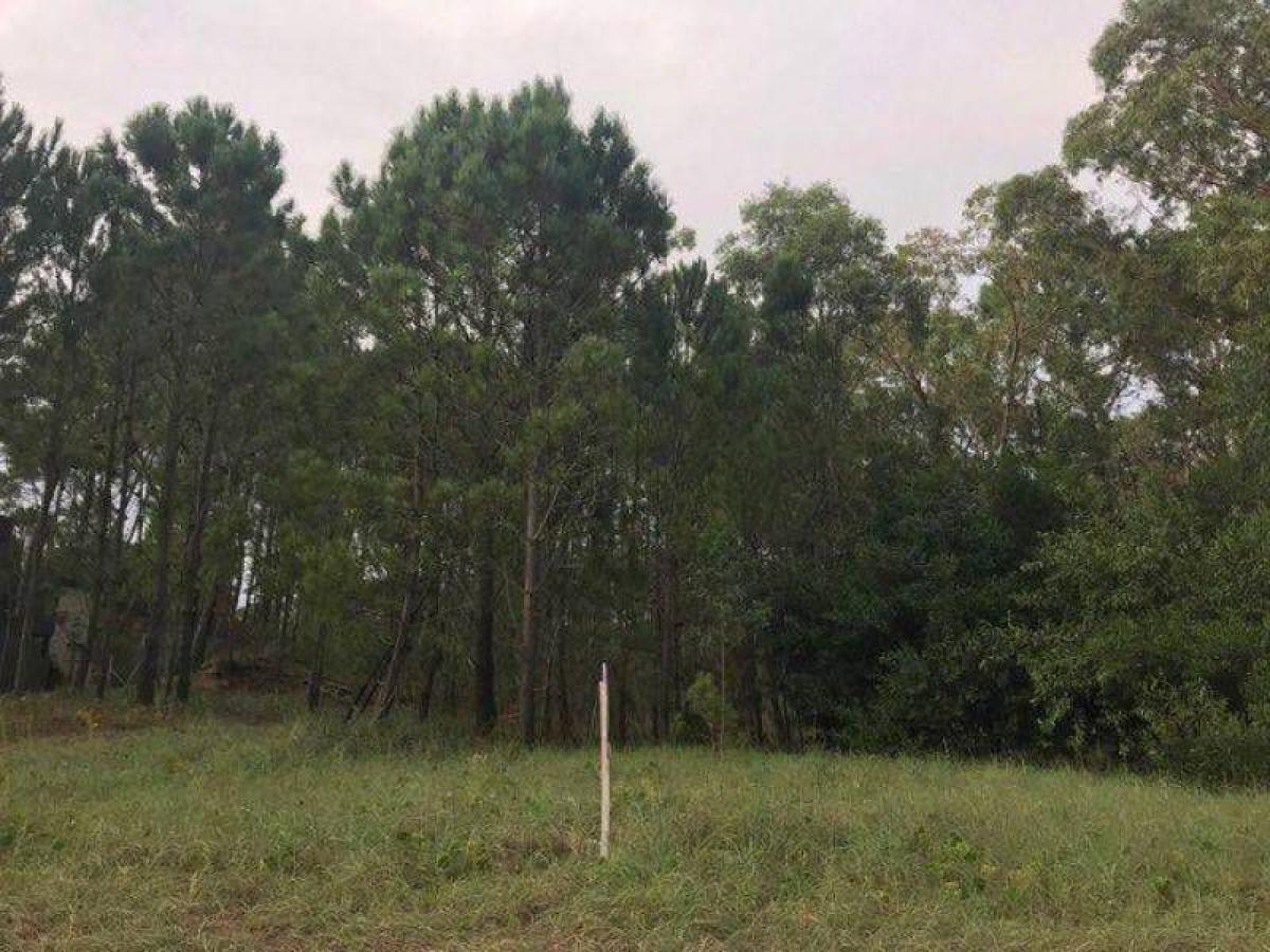  Land in Mar del Plata, Argentina No. 116723