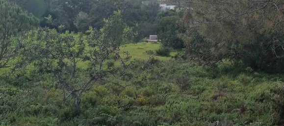  Land in Porches, Portugal No. 136319 7