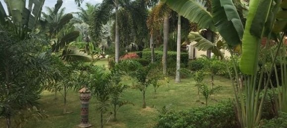 3 bedrooms Cafe / restaurant in Pattaya, Thailand No. 985 2