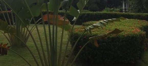 3 bedrooms Cafe / restaurant in Pattaya, Thailand No. 985 29