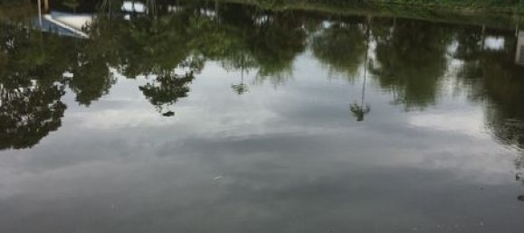 3 bedrooms Cafe / restaurant in Pattaya, Thailand No. 985 24