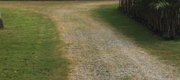 3 bedrooms Cafe / restaurant in Pattaya, Thailand No. 985 28