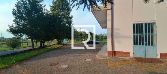 Almacén en Faenza, Italy 705 m² No. 350057 7
