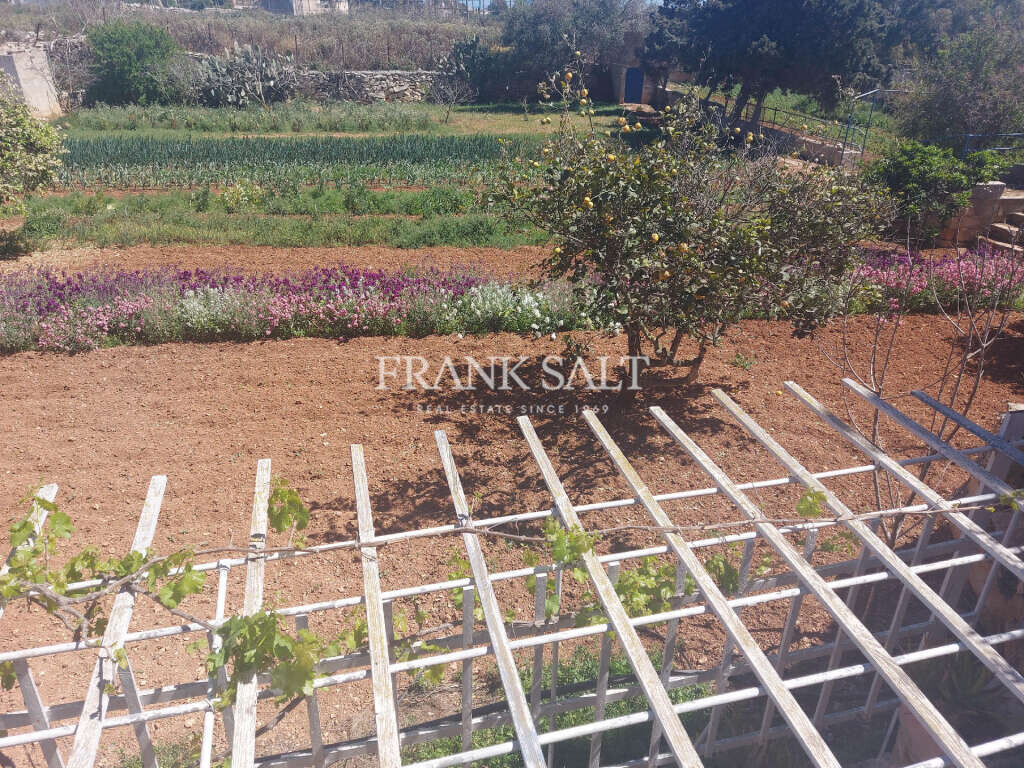 Ферма в Иклин, Мальта № 1649