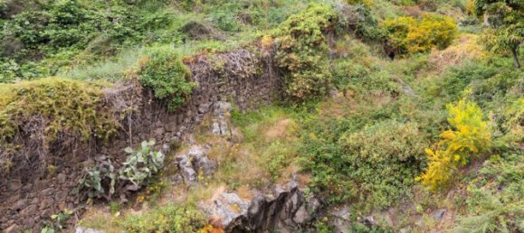 4 bedrooms House in La Orotava, Spain No. 161774 8